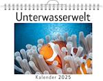 Unterwasserwelt - (Wandkalender 2025, Kalender DIN A4 quer, Monatskalender im Querformat mit Kalendarium, das perfekte Geschenk)