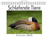 Schlafende Tiere - (Wandkalender 2025, Kalender DIN A4 quer, Monatskalender im Querformat mit Kalendarium, das perfekte Geschenk)