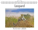 Leopard - (Wandkalender 2025, Kalender DIN A4 quer, Monatskalender im Querformat mit Kalendarium, das perfekte Geschenk)