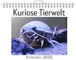 Kuriose Tierwelt - (Wandkalender 2025, Kalender DIN A4 quer, Monatskalender im Querformat mit Kalendarium, das perfekte Geschenk)