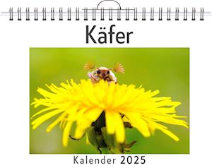 Käfer - (Wandkalender 2025, Kalender DIN A4 quer, Monatskalender im Querformat mit Kalendarium, das perfekte Geschenk)