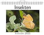 Insekten - (Wandkalender 2025, Kalender DIN A4 quer, Monatskalender im Querformat mit Kalendarium, das perfekte Geschenk)