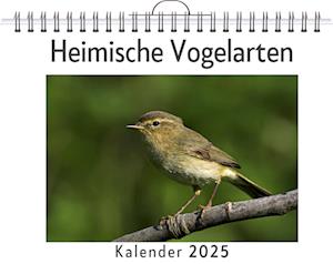 Heimische Vogelarten - (Wandkalender 2025, Kalender DIN A4 quer, Monatskalender im Querformat mit Kalendarium, das perfekte Geschenk)