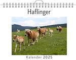 Haflinger - (Wandkalender 2025, Kalender DIN A4 quer, Monatskalender im Querformat mit Kalendarium, das perfekte Geschenk)