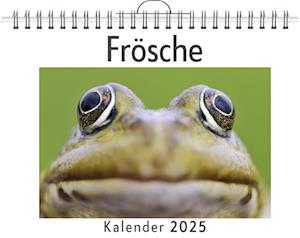 Frösche - (Wandkalender 2025, Kalender DIN A4 quer, Monatskalender im Querformat mit Kalendarium, das perfekte Geschenk)