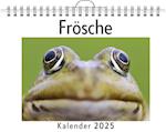 Frösche - (Wandkalender 2025, Kalender DIN A4 quer, Monatskalender im Querformat mit Kalendarium, das perfekte Geschenk)