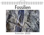 Fossilien - (Wandkalender 2025, Kalender DIN A4 quer, Monatskalender im Querformat mit Kalendarium, das perfekte Geschenk)