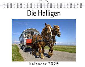 Die Halligen - (Wandkalender 2025, Kalender DIN A4 quer, Monatskalender im Querformat mit Kalendarium, das perfekte Geschenk)