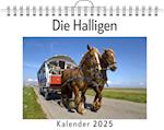 Die Halligen - (Wandkalender 2025, Kalender DIN A4 quer, Monatskalender im Querformat mit Kalendarium, das perfekte Geschenk)