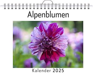 Alpenblumen - (Wandkalender 2025, Kalender DIN A4 quer, Monatskalender im Querformat mit Kalendarium, das perfekte Geschenk)