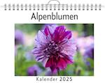 Alpenblumen - (Wandkalender 2025, Kalender DIN A4 quer, Monatskalender im Querformat mit Kalendarium, das perfekte Geschenk)