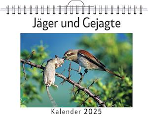 Jäger und Gejagte - (Wandkalender 2025, Kalender DIN A4 quer, Monatskalender im Querformat mit Kalendarium, das perfekte Geschenk)