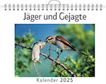 Jäger und Gejagte - (Wandkalender 2025, Kalender DIN A4 quer, Monatskalender im Querformat mit Kalendarium, das perfekte Geschenk)