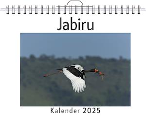 Jabiru - (Wandkalender 2025, Kalender DIN A4 quer, Monatskalender im Querformat mit Kalendarium, das perfekte Geschenk)