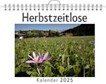 Herbstzeitlose