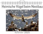 Heimische Vögel beim Nestbau