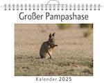 Großer Pampashase