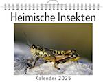 Heimische Insekten