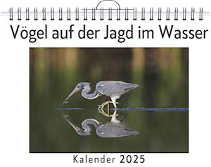 Vögel auf der Jagd im Wasser