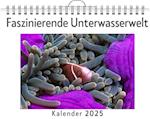 Faszinierende Unterwasserwelt