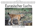 Eurasischer Luchs