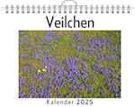 Veilchen