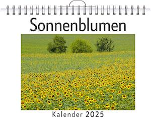 Sonnenblumen