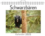 Schwarzbären