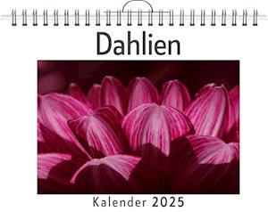 Dahlien