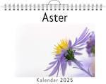 Aster