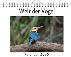 Welt der Vögel