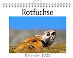 Rotfüchse