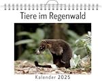 Tiere im Regenwald