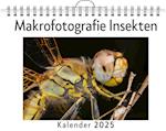 Makrofotografie Insekten