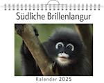 Südliche Brillenlangur