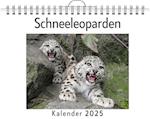 Schneeleoparden