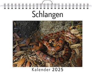 Schlangen