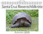 Santa Cruz Riesenschildkröte