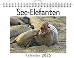 See-Elefanten