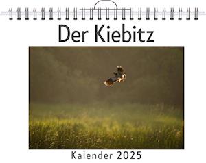 Der Kiebitz