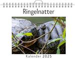 Ringelnatter