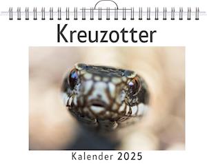 Kreuzotter