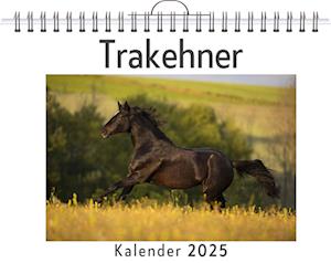 Trakehner