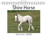 Shire Horse