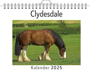 Clydesdale