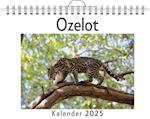 Ozelot