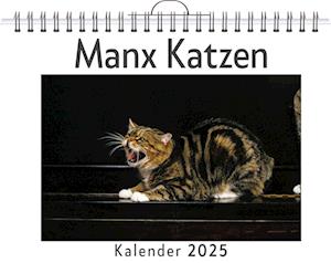 Manx Katzen