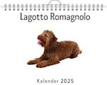 Lagotto Romagnolo