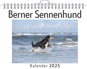 Berner Sennenhund