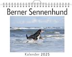 Berner Sennenhund